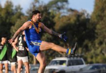 Doves can’t Holt the Eagles