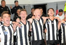 Magpies are the benchmark