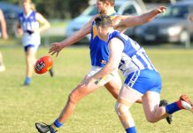 Fast starting Eagles dominate