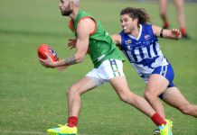 Seagulls and Kangaroos share the points