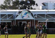 Seagulls to fly in a new direction?