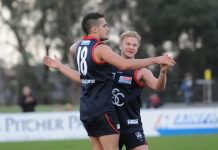 Casey corrals Collingwood