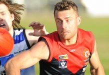 Dogs are the real deal