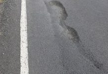 ‘Godzilla’ pothole wreaks havoc