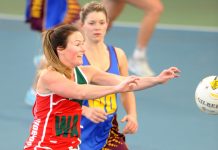 Lions to hold a fundraiser