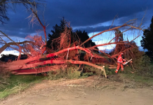 Races abandoned, SES inundated by huge winds