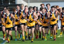 Stingrays are on song