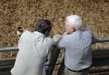 Warragul saleyards sold as VLE brace for battle