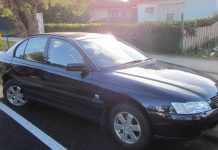 Woman swerves to avoid hitting cat