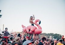 Festival lineup lands