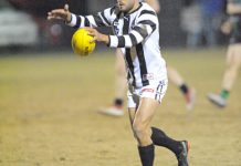 Who’s leading the way?