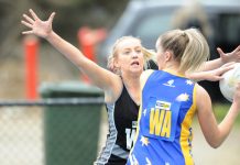 Kangaroos surge forward