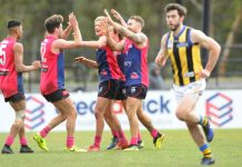 Casey’s Dee-lightful dozen