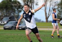 Sea Eagles fall in the wind