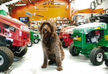 Dog winning Pakenham Gazette tipping comp