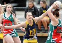 Seagulls’ class on show