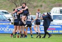 Berwick – kings of the SEFNL