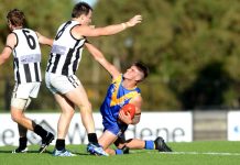 Everything’s on the line