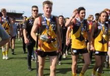 Hustwaite’s Dandy dream