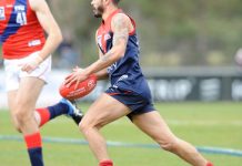 Casey crush Cats, cruise to prelim