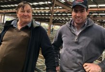 Activists’ beef with sale yard