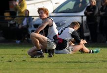 Spirited Dees win through