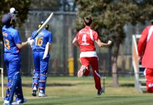 Swans bring heat to the Heat