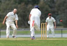 Tons of fun for Spoljaric