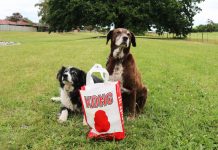 For the love of dogs