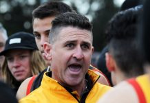 Stingrays on the improve