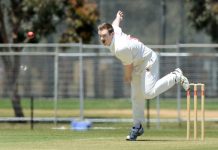 Wells, Nanopoulos star in thriller