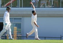 Swans continue their build