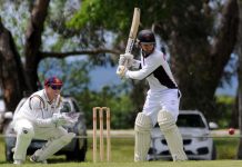 Trav’s deep well of talent