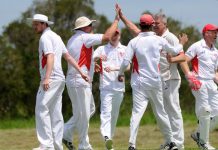 Hamilton’s toe-tal domination