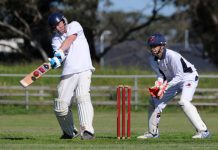 Webster goes on a rampage