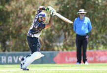 It’s all about the Narre’s