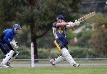 A complete Lion domination