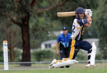 Jonty – the proud Jerseyman