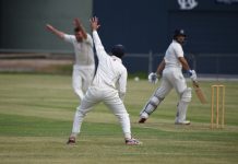 Hawks enjoy golden day