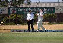 Panthers find their groove