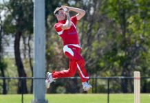 Swans continue to fire