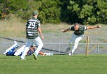 The Tigers are roaring