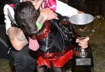 Dyna hunts down glory