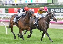 Local hopefuls in All Star Mile field