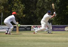 White in devastation touch