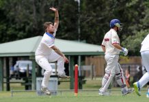 Wild Dogs are ready to snarl