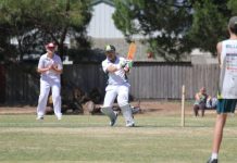 Bullants are marching in