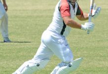 Bulls, Panthers locked in tussle