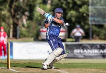 Bears become regional champions