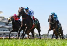 Hutchins All-Star Mile dream